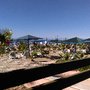 Photo of Paloma Oceana Resort