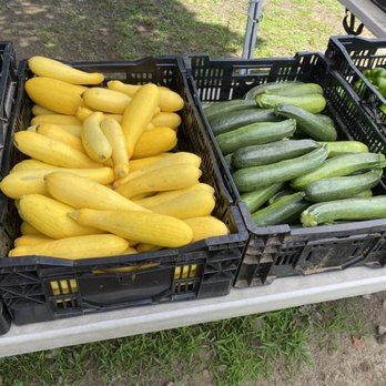 Tara Farm - Squash, at the Tara Farm stand on rt202 in Litchfield, CT. - Fruits & Veggies Near Me - Litchfield, Connecticut Tara Farm - Squash, at the Tara Farm stand on rt202 in Litchfield, CT. - Fruits & Veggies Near Me - Litchfield, Connecticut