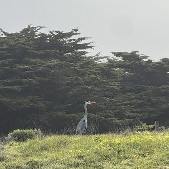 Leffingwell Landing - Parks Near Me