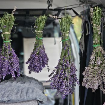 Fat Cat Garden & Gifts - Nurseries & Gardening Near Me - Sequim, Washington