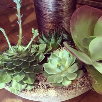 Enchanted Florist - Succulent arrangement - LOVE. - Florists Near Me - Los Alamitos, California Enchanted Florist - Succulent arrangement - LOVE. - Florists Near Me - Los Alamitos, California