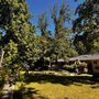 Photo of Am/Pm Tree Service