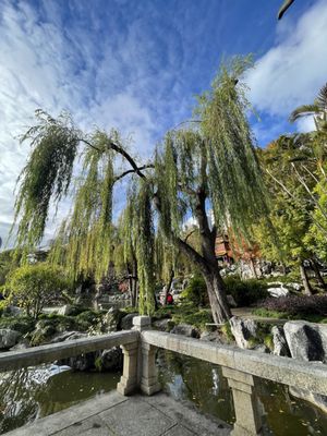 Chinese Garden of Friendship by null