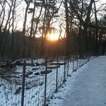 High Park - A rare stretch of fence that has not been vandalized by entitled dog owners. - Parks Near Me - Toronto, Ontario High Park - A rare stretch of fence that has not been vandalized by entitled dog owners. - Parks Near Me - Toronto, Ontario