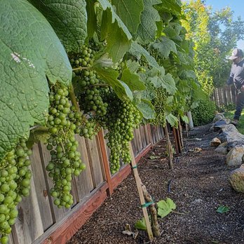 Ariel’s General Jobs - Landscaping Near Me Ariel’s General Jobs - Landscaping Near Me