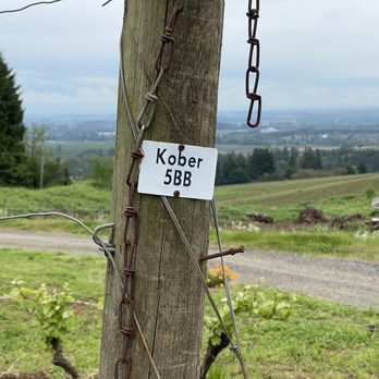 Nysa Vineyard - Wineries Near Me - Dundee, Oregon Nysa Vineyard - Wineries Near Me - Dundee, Oregon