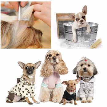Pampered Pets Grooming and Resort - Dog Groomer - Pet Groomers Near Me - Jay, Oklahoma Pampered Pets Grooming and Resort - Dog Groomer - Pet Groomers Near Me - Jay, Oklahoma
