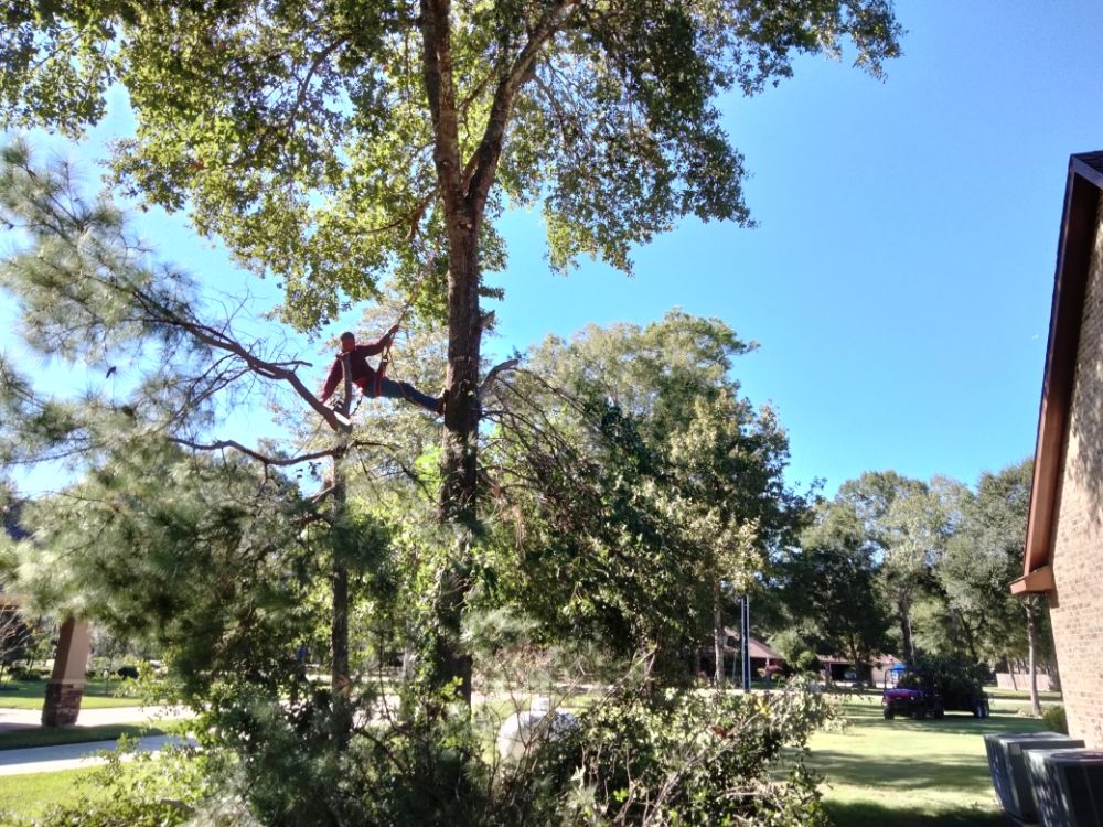 Slide of Lifetime Roofing & Sheet Metal