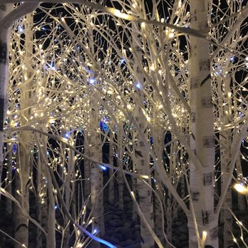 Denver Botanic Gardens - faux birch lights . . .  oddly purdy since they're as inorganic as can be . . . - Botanical Gardens Near Me - Denver, Colorado