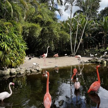 Flamingo Gardens - Botanical Gardens Near Me - Davie, Florida Flamingo Gardens - Botanical Gardens Near Me - Davie, Florida