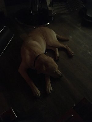 Rod, Gun & Barbers by null