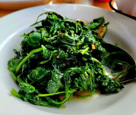 Fumo Chelsea by null