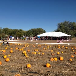 Freeman Farms