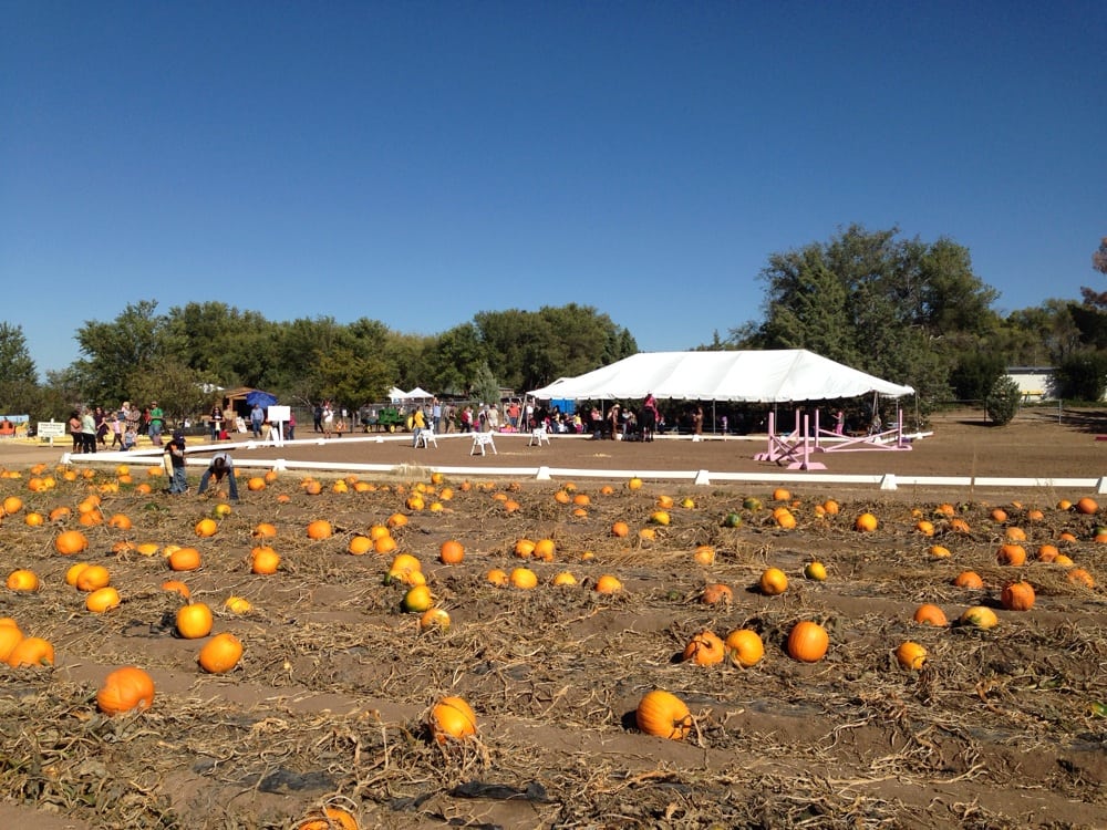 FREEMAN FARMS Updated August 2024 1096 E Rd 3 S, Chino Valley