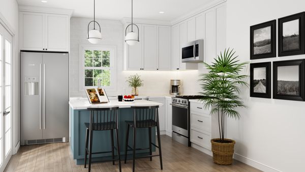 Contemporary Tiny Homes by null