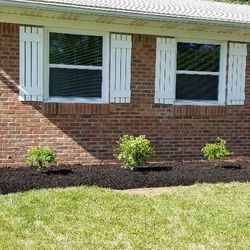 Vincent Landscaping - New landscape