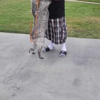Bryan's Dog Boarding - Giving this baby attention - Pet Boarding Near Me - Perris, California Bryan's Dog Boarding - Giving this baby attention - Pet Boarding Near Me - Perris, California