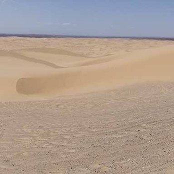 Imperial Sand Dunes Recreation Area - Recreation Centers Near Me - Brawley, California