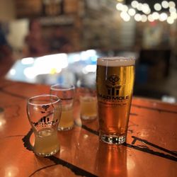Mad Mole Brewing