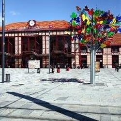 Gare de Saint-Etienne Châteaucreux