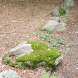 Richfield Parks - Rarely, if ever, does a rock have its pic taken. Loved the moss.