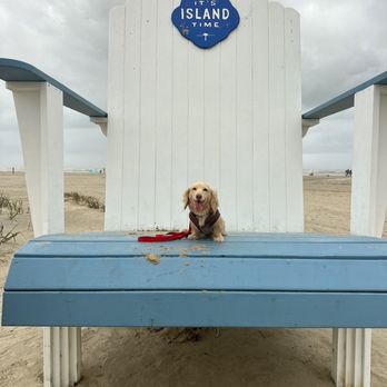 Stewart Beach - Dog - Beaches Near Me - Galveston, Texas Stewart Beach - Dog - Beaches Near Me - Galveston, Texas