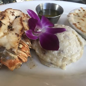 The Black Marlin - Broiled lobster, mashed potatoes and creamed corn - Seafood Near Me - Tustin, California The Black Marlin - Broiled lobster, mashed potatoes and creamed corn - Seafood Near Me - Tustin, California