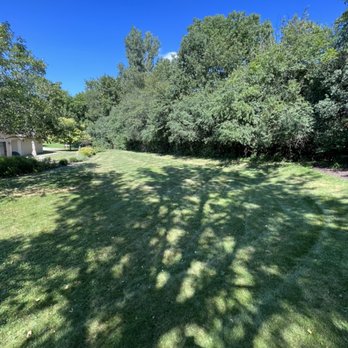 T&C Property Maintenance - a view of the back yard - Landscaping Near Me