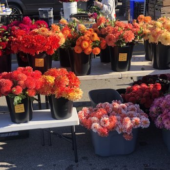 Oconomowoc Farmers market - a woman selling flowers - Farmers Market Near Me - Oconomowoc, Wisconsin Oconomowoc Farmers market - a woman selling flowers - Farmers Market Near Me - Oconomowoc, Wisconsin