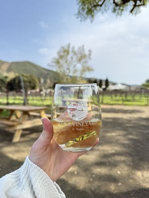 Vega Vineyard and Farm by null