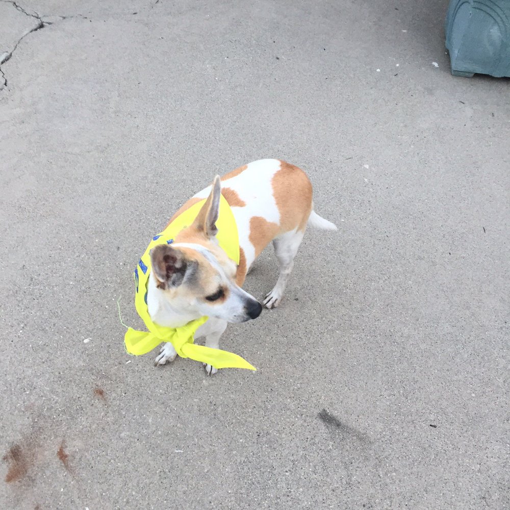 PetSmart - Thank You GABY & RANNESHA You guys did an awsomd job :)) - Pet Training Near Me - Rosemead, California PetSmart - Thank You GABY & RANNESHA You guys did an awsomd job :)) - Pet Training Near Me - Rosemead, California