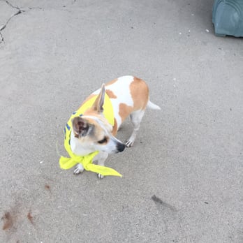 PetSmart - Thank You GABY & RANNESHA You guys did an awsomd job :)) - Pet Training Near Me - Rosemead, California PetSmart - Thank You GABY & RANNESHA You guys did an awsomd job :)) - Pet Training Near Me - Rosemead, California