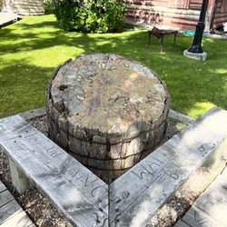 Beaverhead County Museum - Love petrified wood