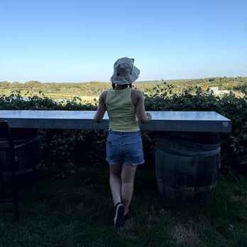 Grapetown Vineyard - The view near the giraffe area - Wineries Near Me - Fredericksburg, Texas
