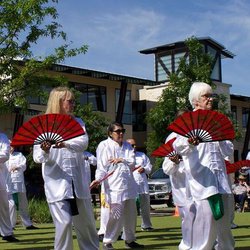 Woodlands Tai Chi