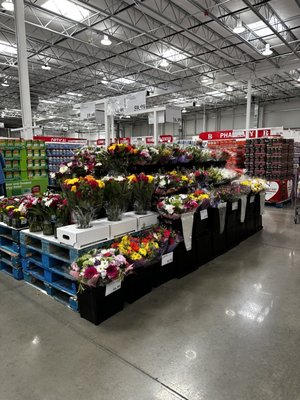 Costco Wholesale by null