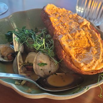 Oystercatchers - Steamed Clams - Seafood Near Me - Tampa, Florida Oystercatchers - Steamed Clams - Seafood Near Me - Tampa, Florida