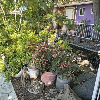 Shenandoah At the Arbor - Southern Near Me - Los Alamitos, California