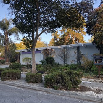 Mscape Design - The before photo. So bad. - Landscaping Near Me