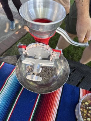 Olivewood Gardens and Learning Center by null