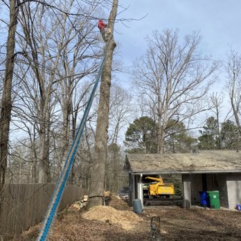 Andrade’s Tree and Stump Grinding - Tree removal - Tree Services Near Me - Tucker, Georgia Andrade’s Tree and Stump Grinding - Tree removal - Tree Services Near Me - Tucker, Georgia
