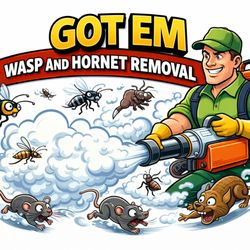 Got 'Em Wasp and Hornet Removal