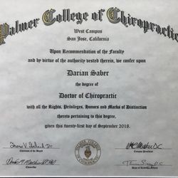 Saber Chiropractic - Doctorate of Chiropractic