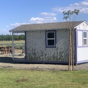 Araceli Farms - Attraction Farms Near Me - Dixon, California Araceli Farms - Attraction Farms Near Me - Dixon, California