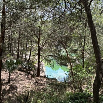 Cedar Lakes Woods and Gardens - Botanical Gardens Near Me - Williston, Florida