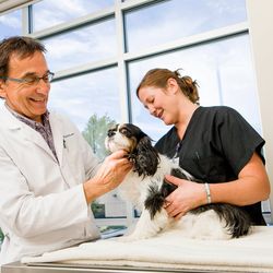 BluePearl Pet Hospital