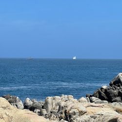 Pacific Grove Shoreline Parkway Marine Refuge - Sailboat in the distance.