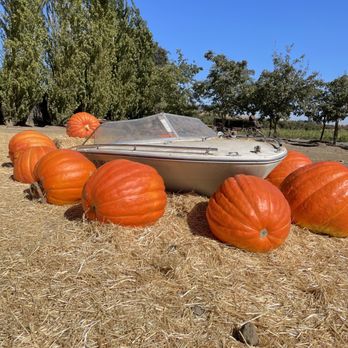 Larry's Produce - Fruits & Veggies Near Me - Fairfield, California Larry's Produce - Fruits & Veggies Near Me - Fairfield, California