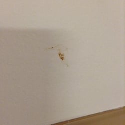 Smithtown Center for Rehabilitation and Nursing Care - Brown substance been on the wall awhile... Could it be gravy?