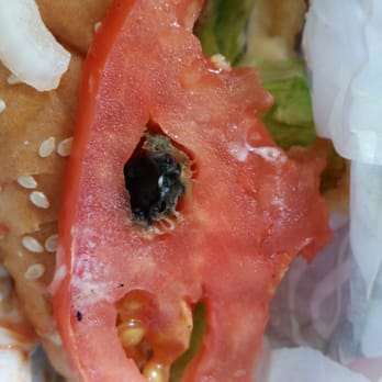 Carl's Jr - Dont eat here look what i found in ny tomato. Thats nasty and unhealty. Someone shut this place down! - Fast Food Near Me - Carson, California